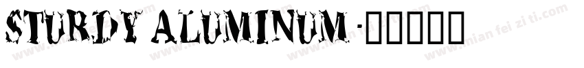 STURDY ALUMINUM字体转换
